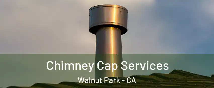  Chimney Cap Services Walnut Park - CA