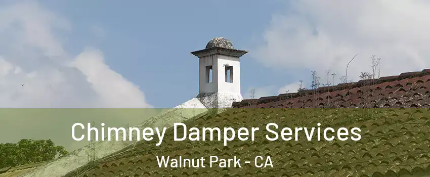  Chimney Damper Services Walnut Park - CA