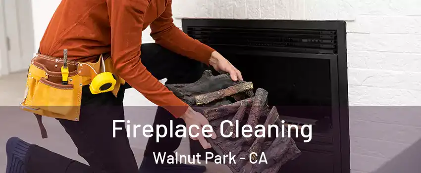  Fireplace Cleaning Walnut Park - CA
