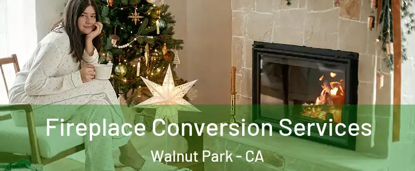  Fireplace Conversion Services Walnut Park - CA