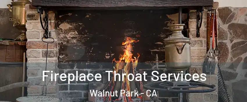  Fireplace Throat Services Walnut Park - CA