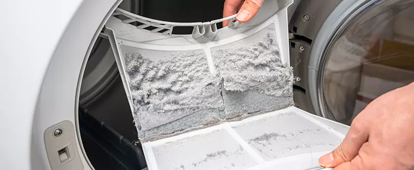 Best Dryer Lint Removal Company in Walnut Park, California