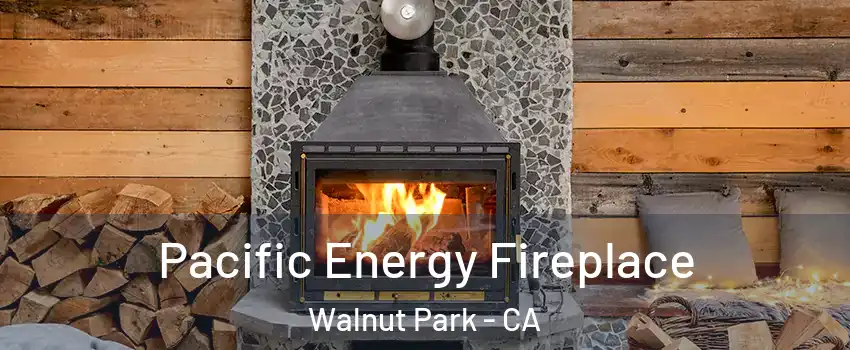  Pacific Energy Fireplace Walnut Park - CA