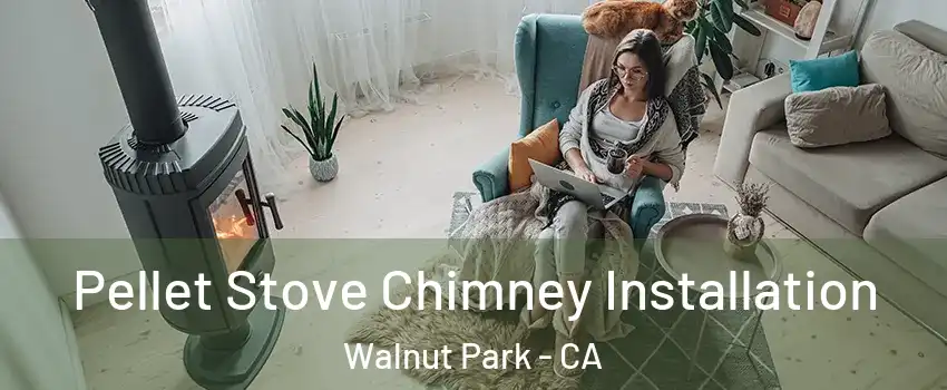  Pellet Stove Chimney Installation Walnut Park - CA