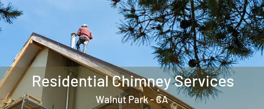 Residential Chimney Services Walnut Park - CA