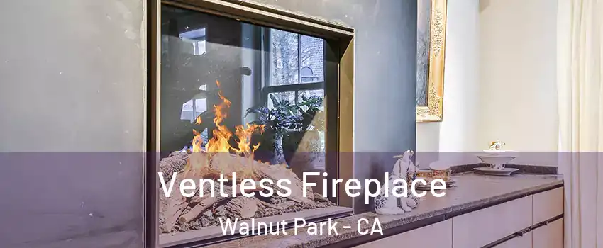  Ventless Fireplace Walnut Park - CA